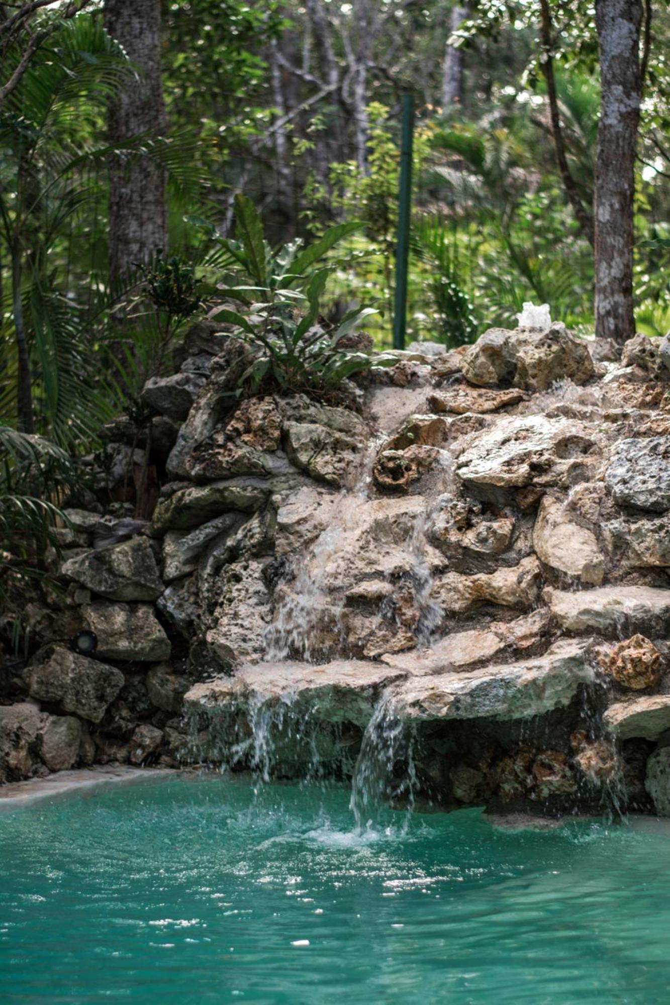 Pepem Holistic Experience - Peaceful Retreat Near Tulum (Adults Only) 빌라 외부 사진