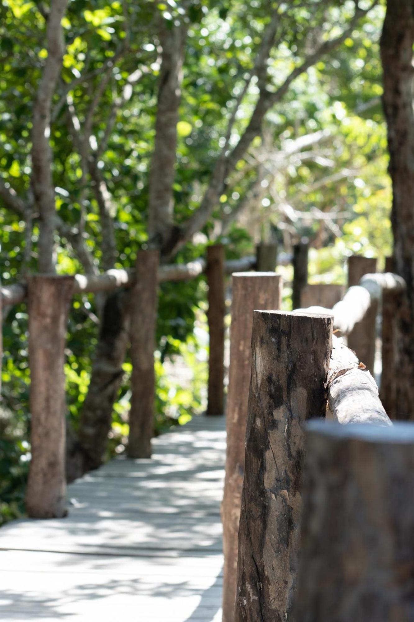 Pepem Holistic Experience - Peaceful Retreat Near Tulum (Adults Only) 빌라 외부 사진
