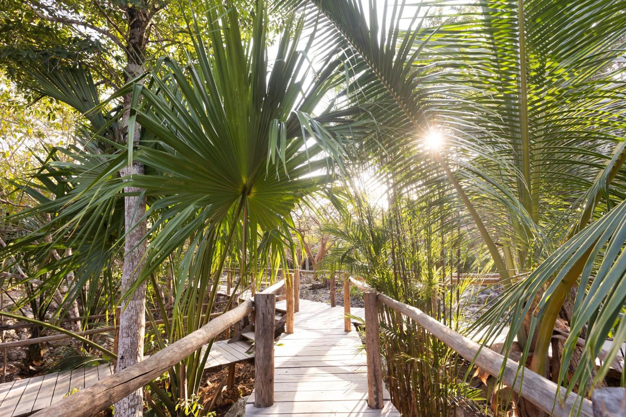 Pepem Holistic Experience - Peaceful Retreat Near Tulum (Adults Only) 빌라 외부 사진